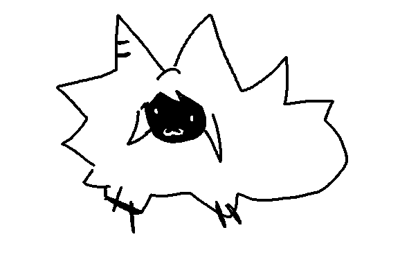 miaou